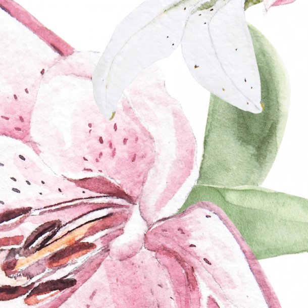 Wallstickers - Liljer - Lyserde