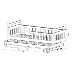 Enkeltseng - Dominik - M. Udtrksseng