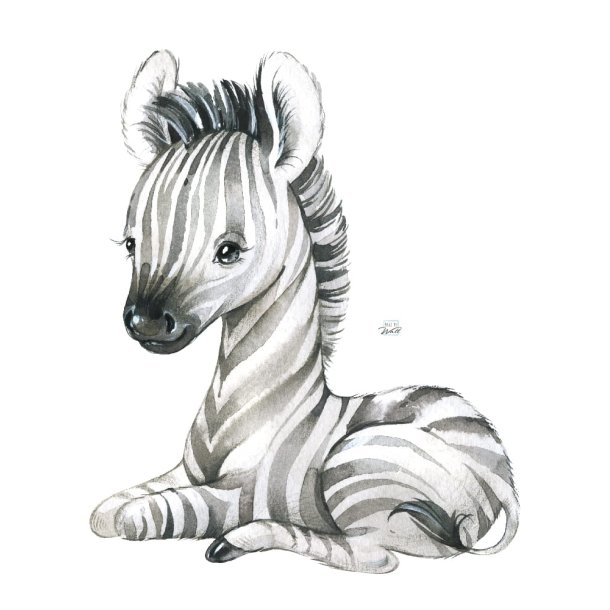 Wallsticker - Wild Africa - Zebra 2