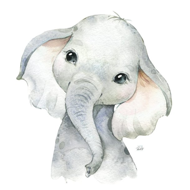 Wallsticker - Elefanten