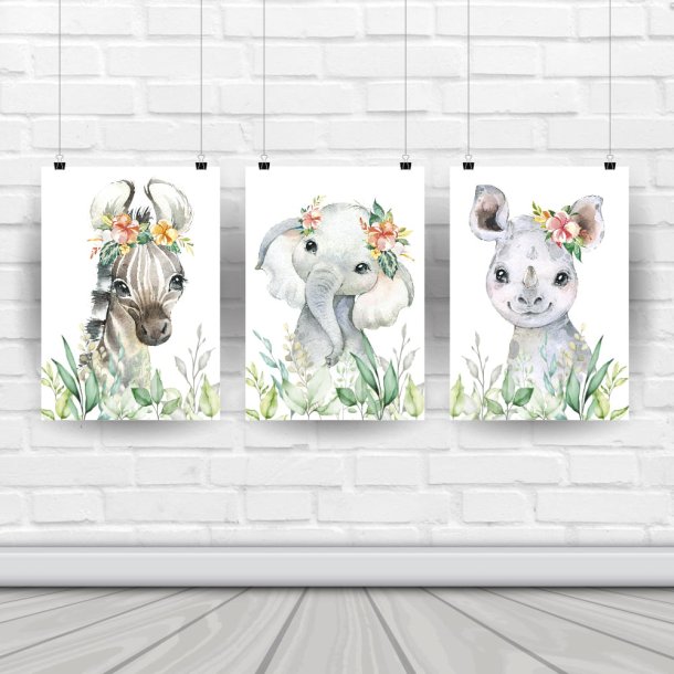 Plakater - Wild Africa Girly - 3 stk