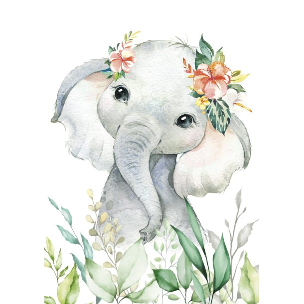 Plakater - Wild Africa Girly - 3 stk