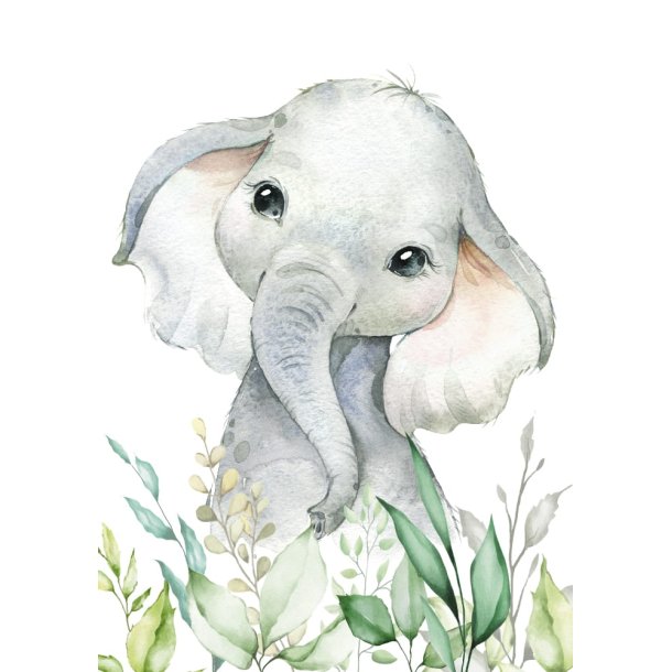 Plakater - Wild Afrika - 3 stk.