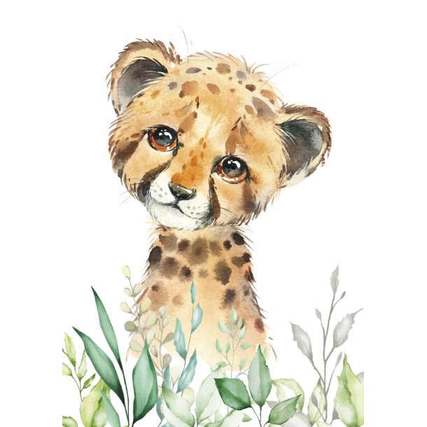 Plakater - Savannah -3 stk