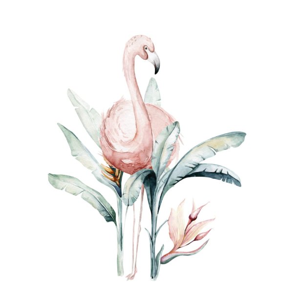 Plakater - Flamigo - 2 stk