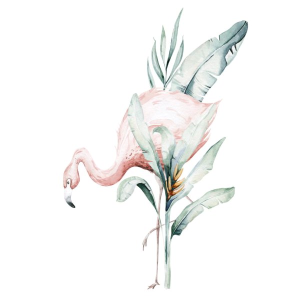 Plakater - Flamigo - 2 stk