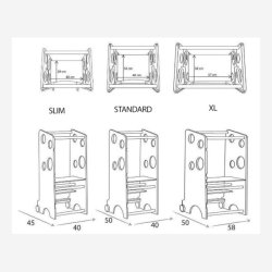 L�ringst�rn Leea