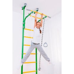 V�gribbe - Comet 5