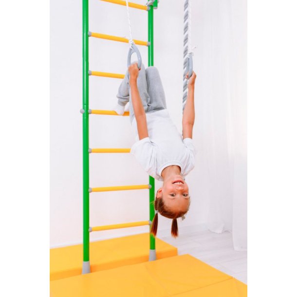 V�gribbe - Comet 5