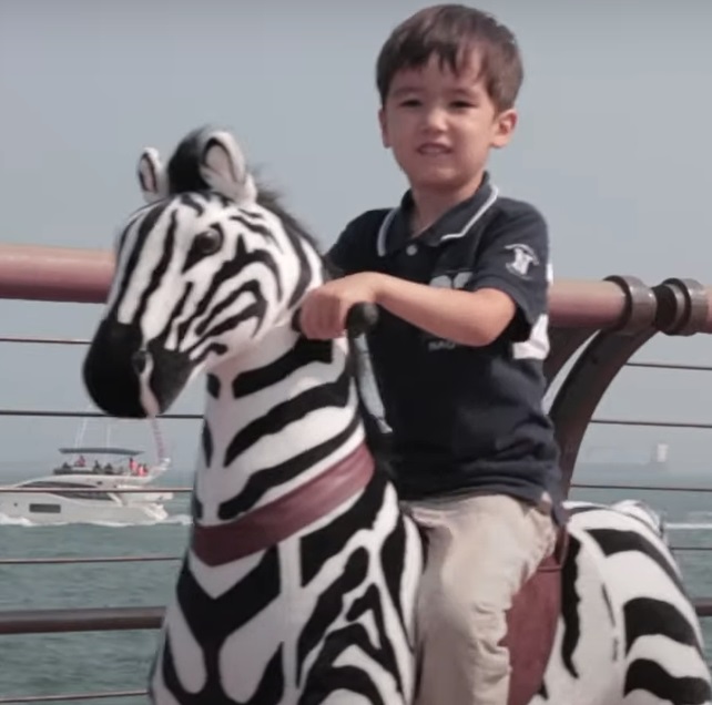 Gyngeheste (og andre dyr)